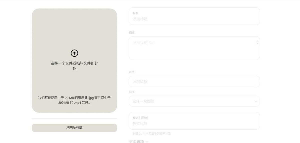 Pin图
